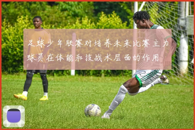 足球少年联赛对培养未来比赛主力球员在体能和技战术层面的作用