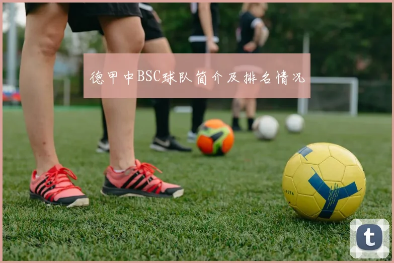 德甲中BSC球队简介及排名情况