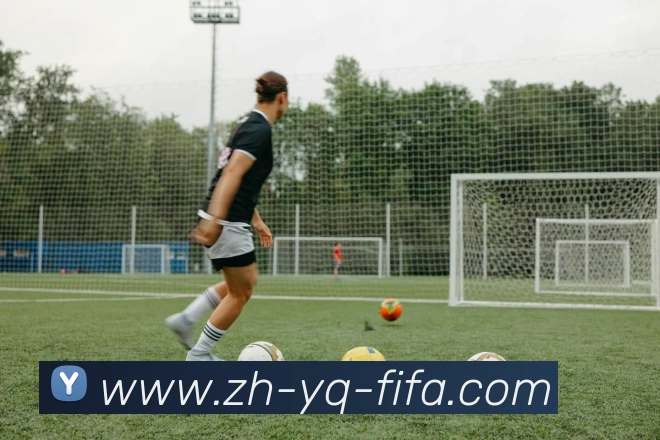 世界杯赛程平台生态图